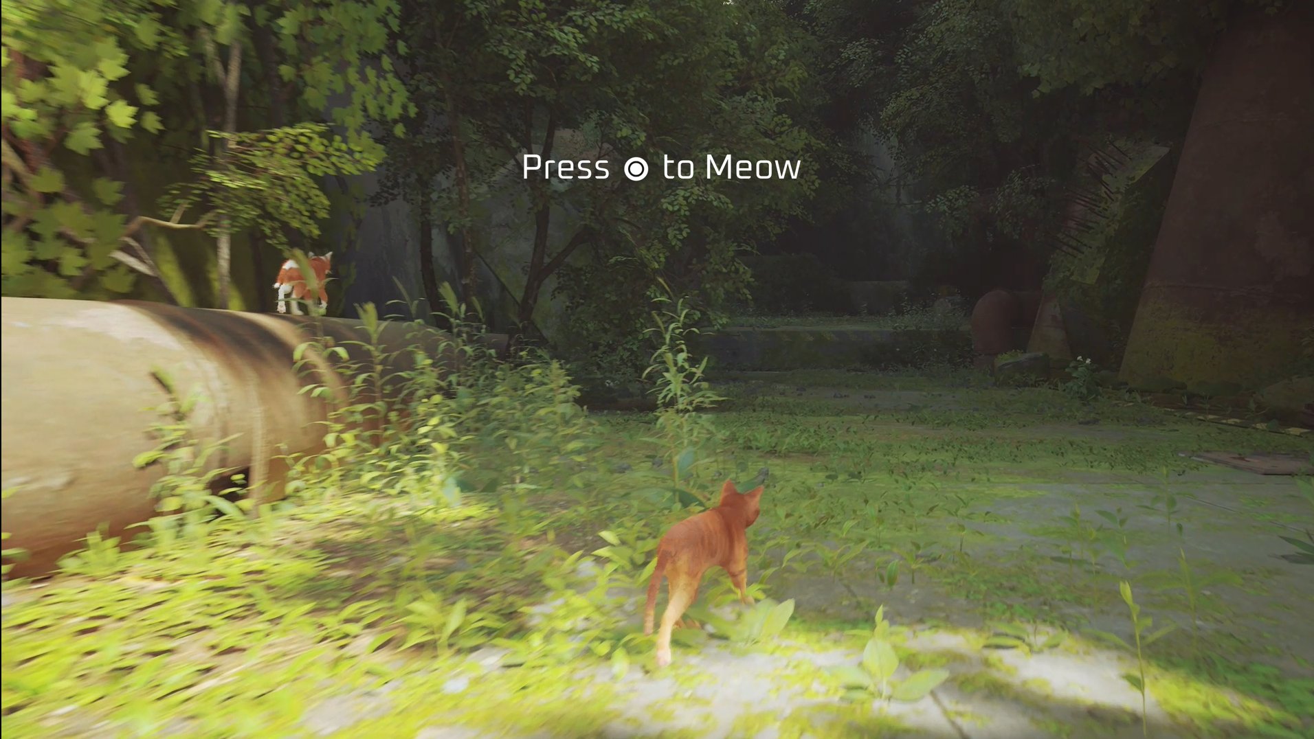 Stray: veja lançamento, gameplay e requisitos do 'Jogo do Gato