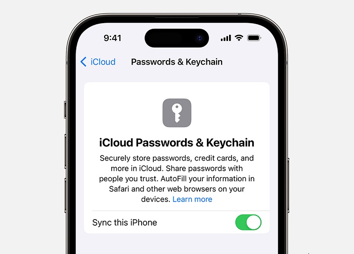 iCloud Keychain, which will be replaced by Passwords